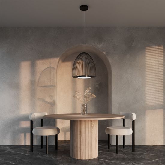 40010/1 LED / подвесной светильник / черный