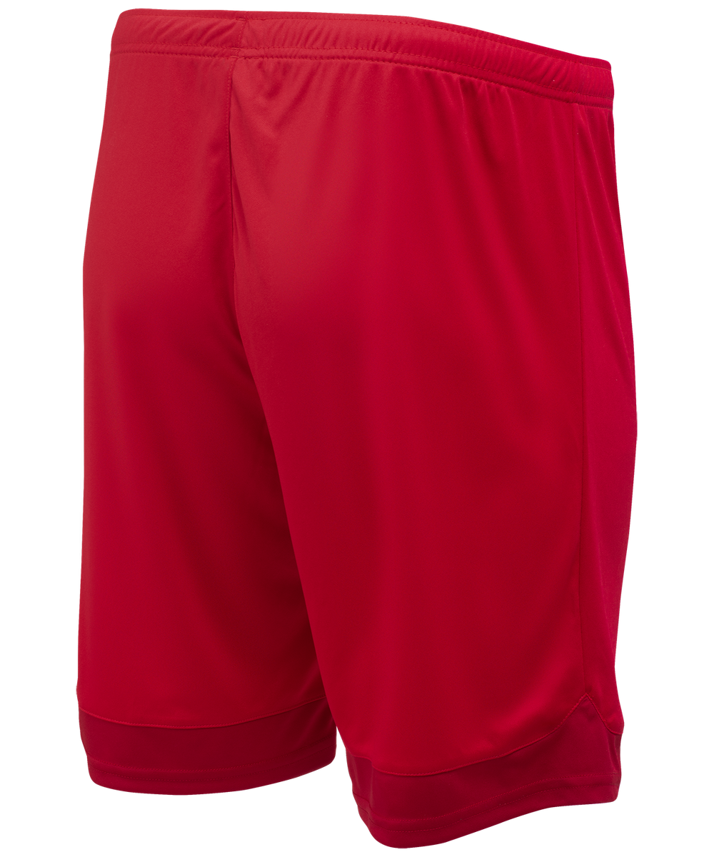 Шорты игровые DIVISION PerFormDRY Union Shorts, красный/темно-красный/белый