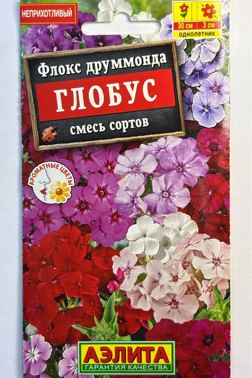 Флокс Глобус, смесь сортов СМЦ-819