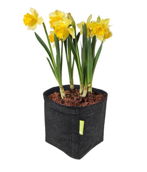 Умный текстильный горшок Garden Highpro ProPot 11 л