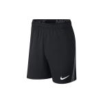 Шорты Nike Dri-FIT, CJ2008-010