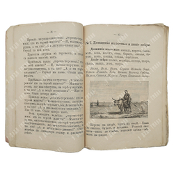 Ушинский К. Родное слово для детей младшего возраста. Год первый. 1910