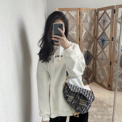 Christian Dior Saddle Bag 25 cm