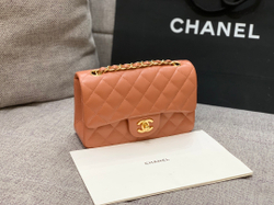Chanel Bag 20 cm