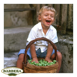 Оливковое масло BARBERA BIOLOGICO E.V. 750ml Италия