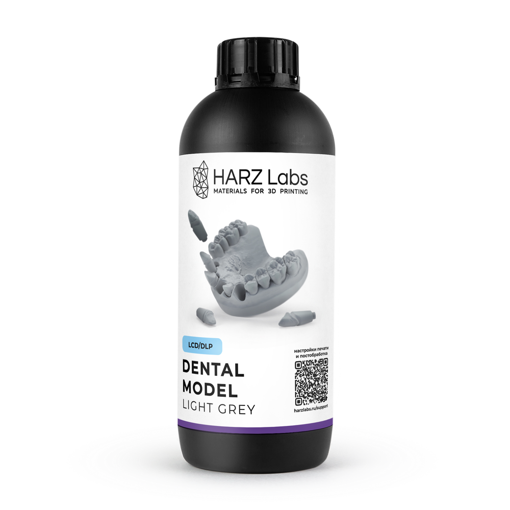 Dental Model Light Grey