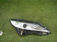 DSCN2464.jpg