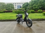 Электроскутер Skyboard Sevastopol 1800W