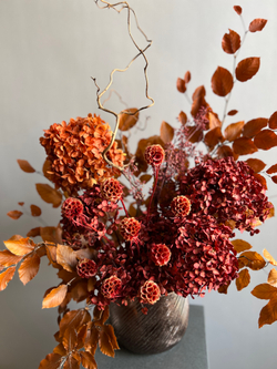 Композиция в кашпо Леукадендрон