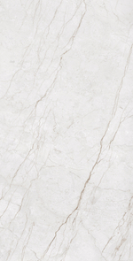 METERIA SILVER CR4014-A