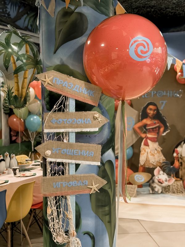 Moana and Madagascar Penguins Party