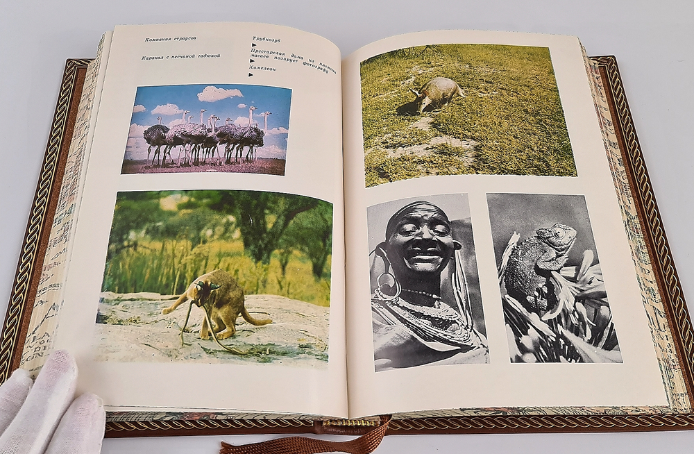 "Серенгети не должен умереть. В поисках фресок Тассилии". Бернгард и Михаэль Гржимек, Анри Лот - подарочное издание