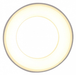 Накладной светильник Ambrella Light TN TN3411
