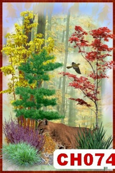 Фото обои - Дети CH074