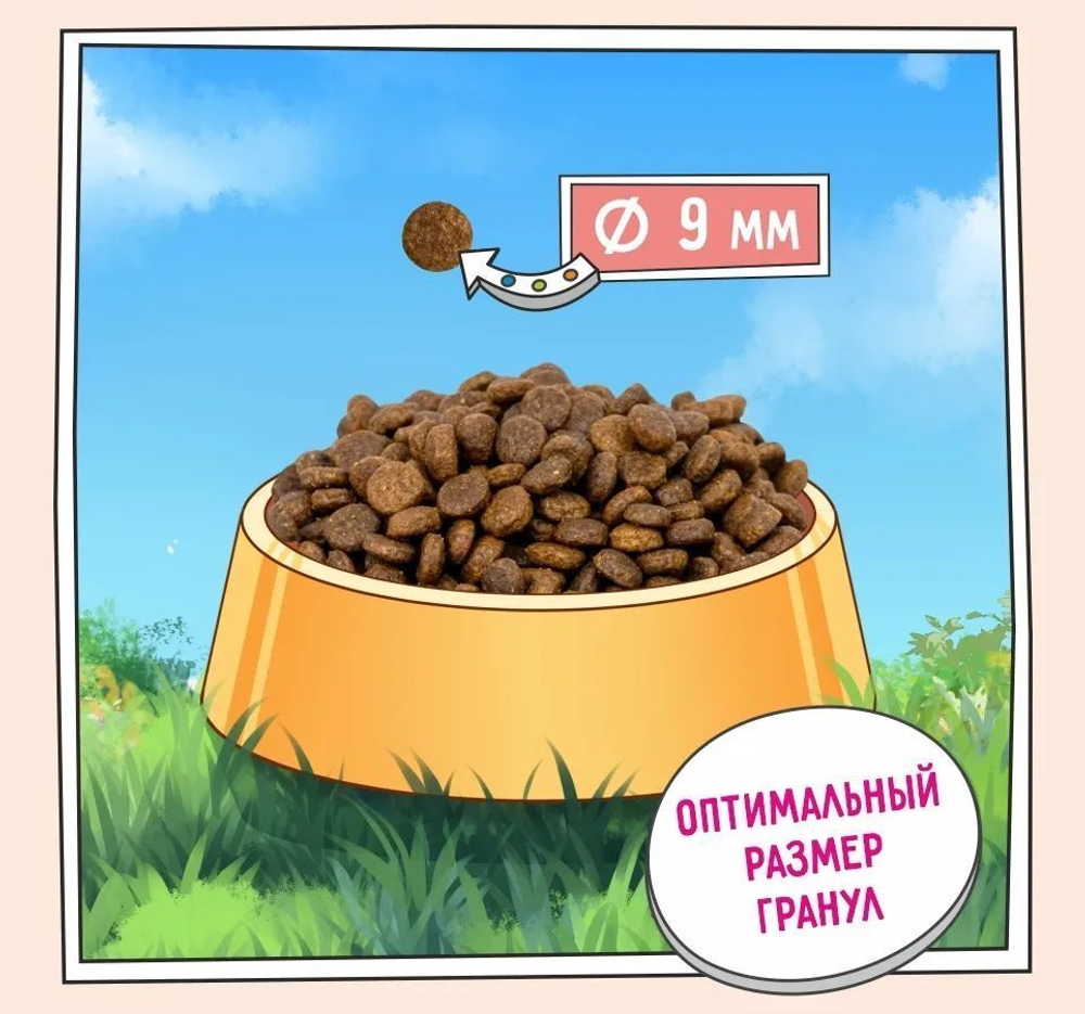 Корм для кошек сухой ZILLII Cat Adult Indoor 2кг, для домашних животных, с индейкой и ягнёнком