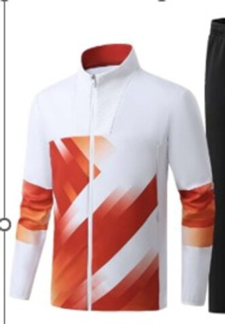 Олимпийка Tigershop  white 2377