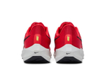 Кроссовки Nike Air Zoom Pegasus 39
