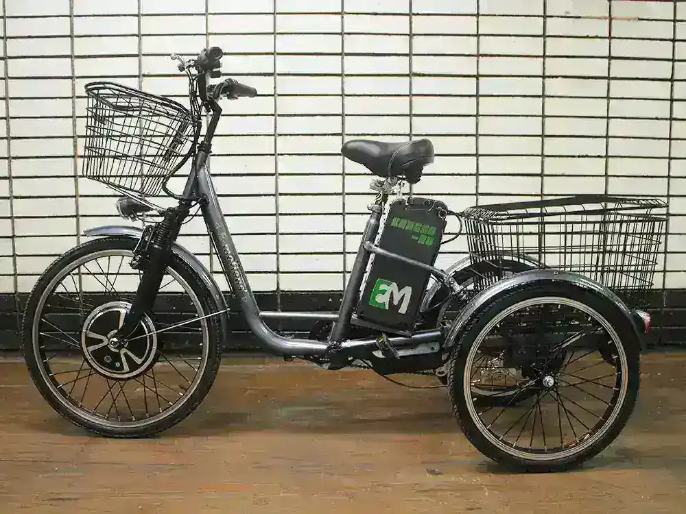 Трехколесный электровелосипед E-motions KANGOO-RU 700