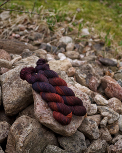 Носочный меринояк "Пангден" темнее