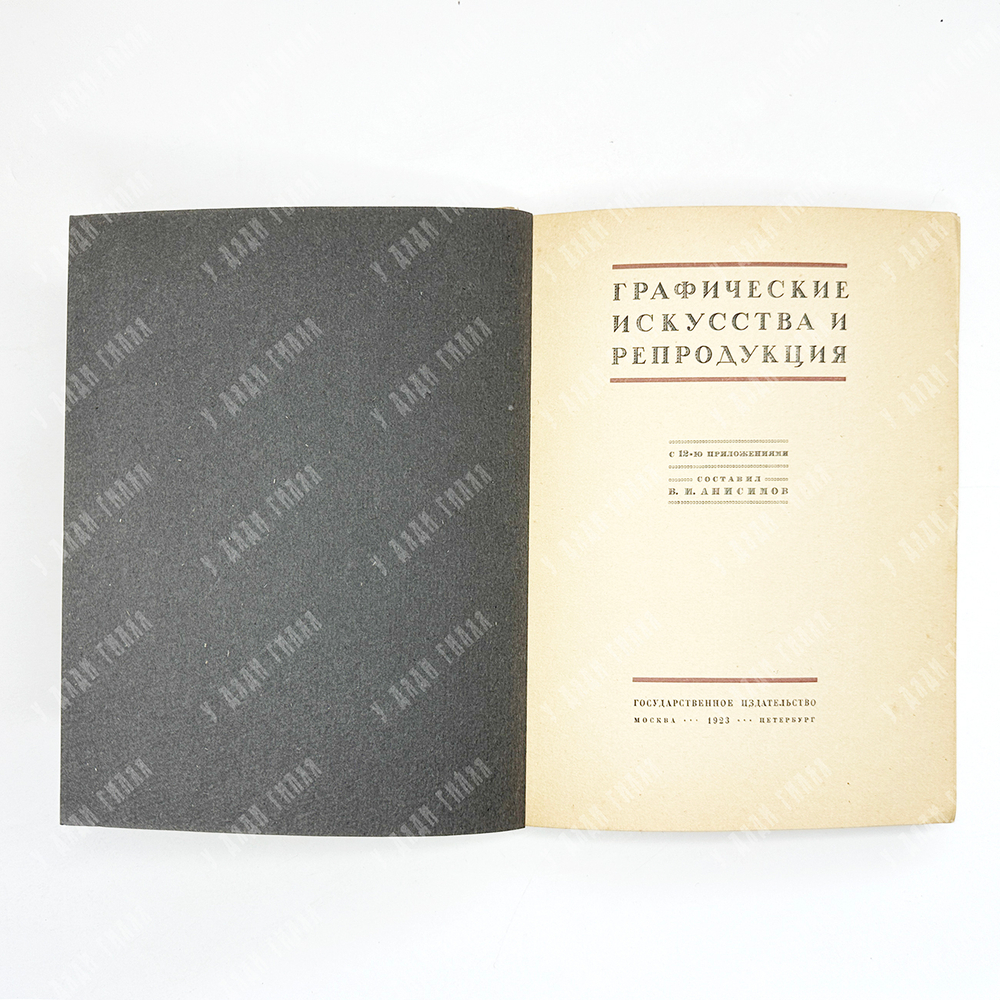 Анисимов В.И. Графические искусства и репродукция. М-Л, Госиздат, 1924 г.
