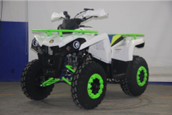 Квадроцикл AVANTIS Forester 200 Premium