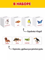 Сортер-копилка «Животные» по методике Г. Домана