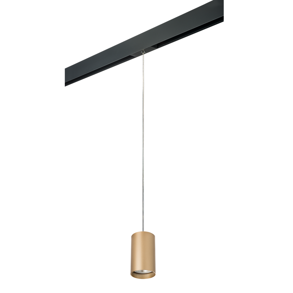 Трековый светильник Lightstar Rullo PRORP440