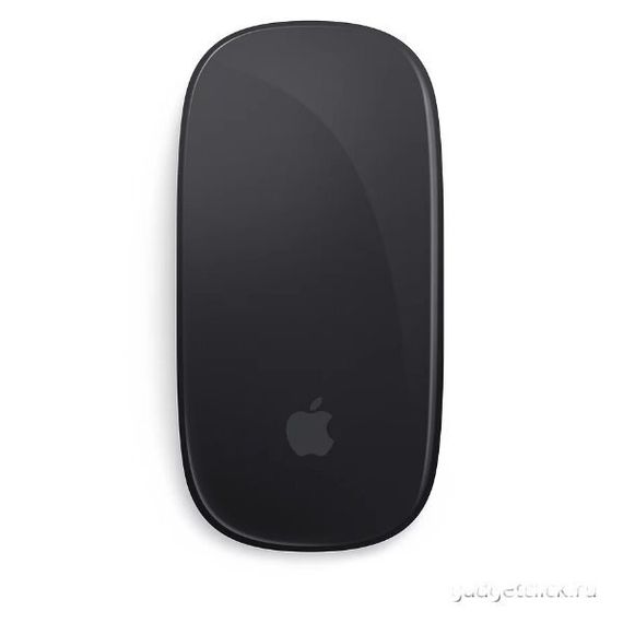 Мышь Apple Magic Mouse (Серый космос)