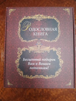 Семейный альбом родословная "Художественная", обложка из искусственной кожи