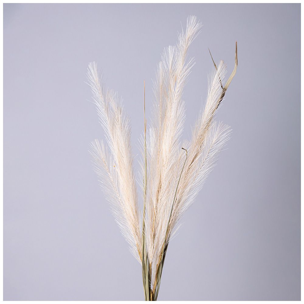 ЦВЕТОК ИСКУССТВЕННЫЙ ПОМПАСНАЯ ТРАВА, ЦВЕТ КРЕМОВЫЙ