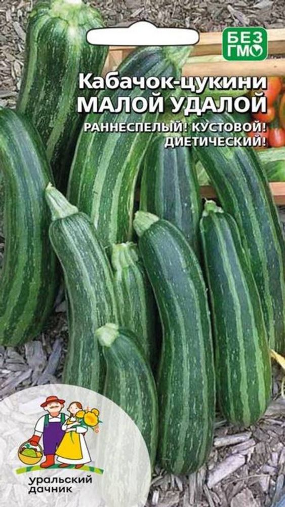 Кабачок &quot;G. Малой-Удалой&quot; 10шт., Россия.