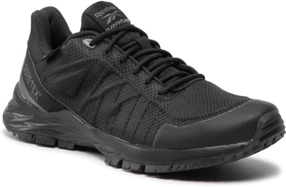 Кроссовки Reebok ASTRORIDE TRAIL GTX BLACK/PUGRY4/WILDLI черно-серый
