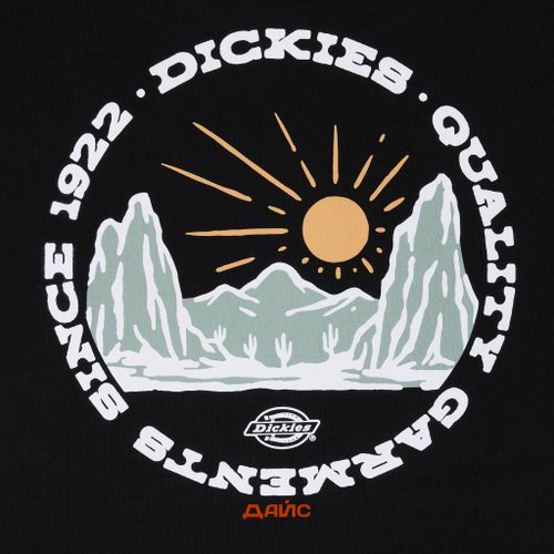 Футболка мужская Dickies Outdoor артикул:DK0A4Z8PBLK1 - купить в магазине Дайс