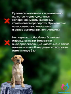 Рабектра 500 мг жевательная таблетка против блох и клещей для собак весом 10-20 кг, 1 таблетка