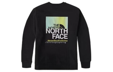 Толстовки THE NORTH FACE Logo, NF0A81MI-JK3