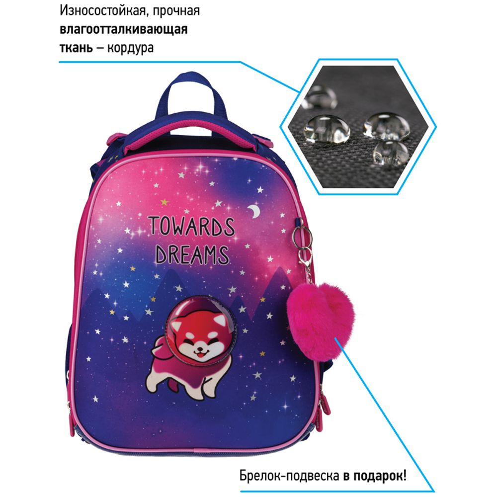 Ранец Berlingo Expert Akita boy 37х28х16см, 2 отд., с анатомической спинкой