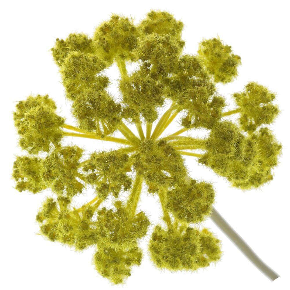 GAEM Цветок искусственный "Дягиль", L16 W16 H80 см