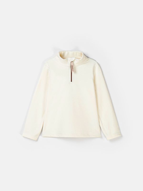 Олимпийка флисовая 