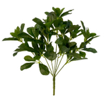 Шеффлера куст зелёный 40 см.