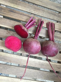 Свекла Ред Ариес F1 (10гр) Витагрин Профи