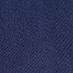 Набор из двух салфеток сервировочных из хлопка темно-синего цвета из коллекции Essential, 45х45 см