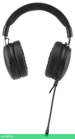 Наушники Acer AHW120 черный (ZL.HDSCC.01C)