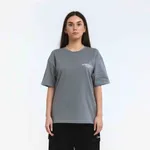 Футболка Dissident BHC серая