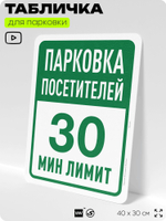 Табличка для парковки "Парковка посетителей, 30 мин лимит", для дома, офиса, организаций, 40х30 см, Silver Plane x Айдентика Технолоджи