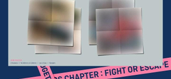 Альбом TXT - The Chaos Chapter: FIGHT OR ESCAPE 2nd Album RANDOM TOGETHER Version