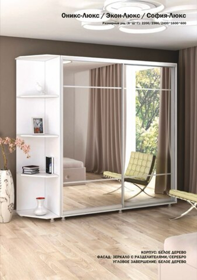Шкаф купе 2 ств. "Оникс-Люкс/София-Люкс/Экон-Люкс"