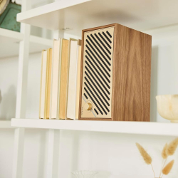 Радиоприемник Tivoli Model Two Digital Walnut/Gold