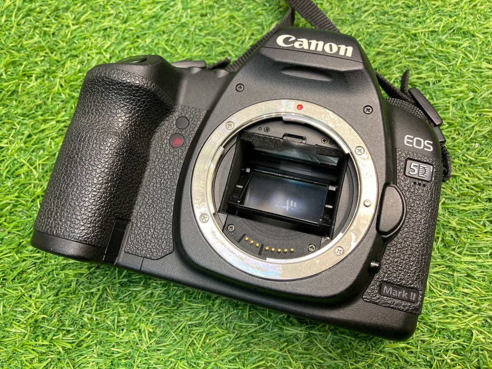 Canon 5D Mark II 106.500 кадров