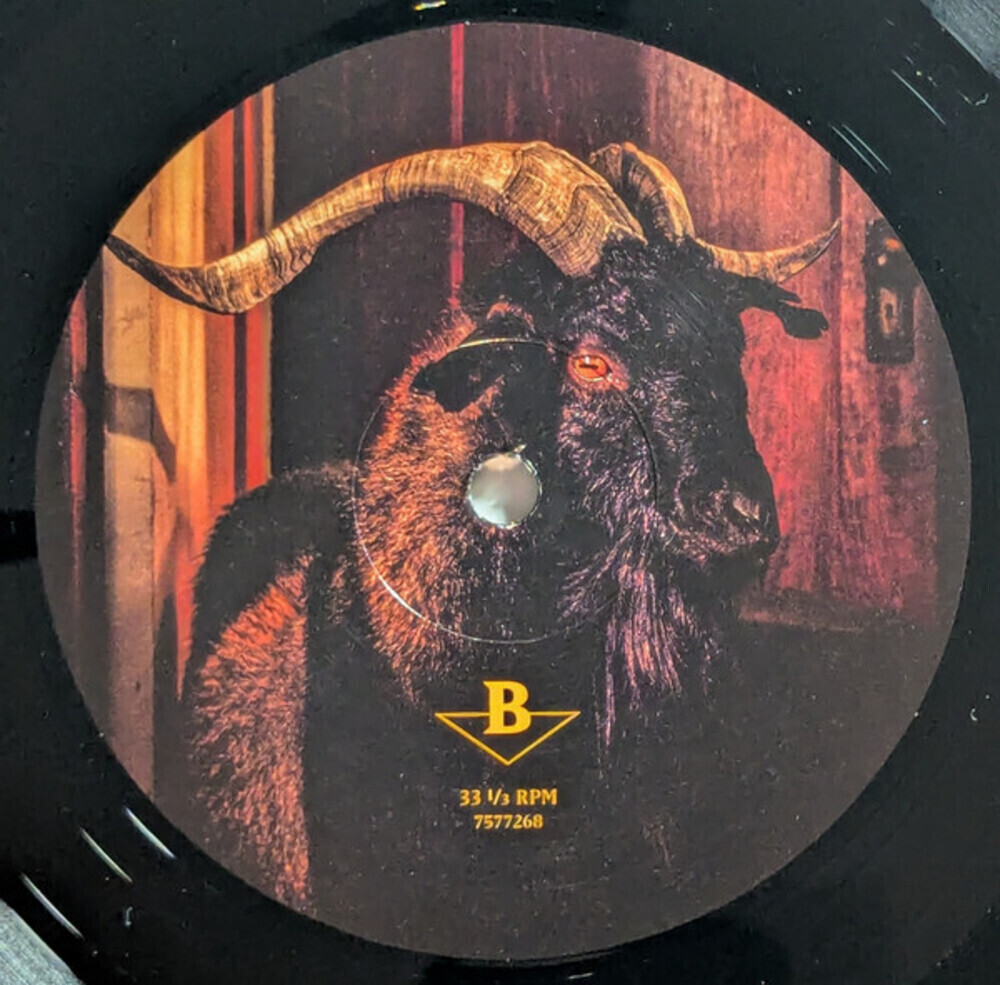 Volbeat / God Of Angels Trust (LP)