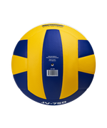 Мяч волейбольный JV-750